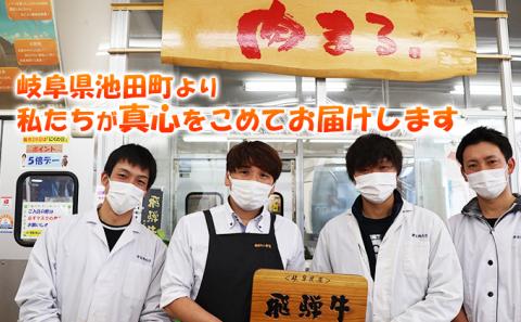 ふるさと納税　飛騨牛 牛肉 ステーキ サーロイン 250g×6枚 計1.5kg A5 和牛