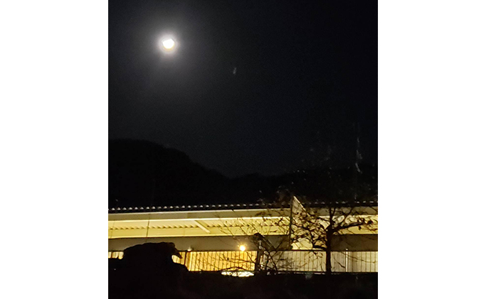 岐阜　湯華の郷　食事付入浴券ペア