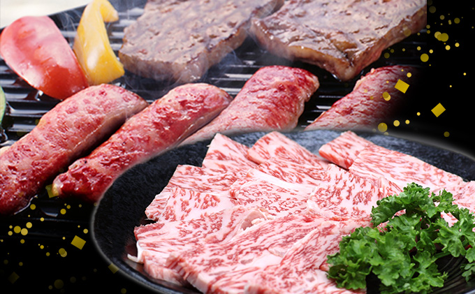 ふるさと納税　飛騨牛 ロース＆カルビ 焼肉 セット  計600g A5 和牛 牛肉 お肉 ロース カルビ 食べ比べ 焼肉用 バーベキュー BBQ