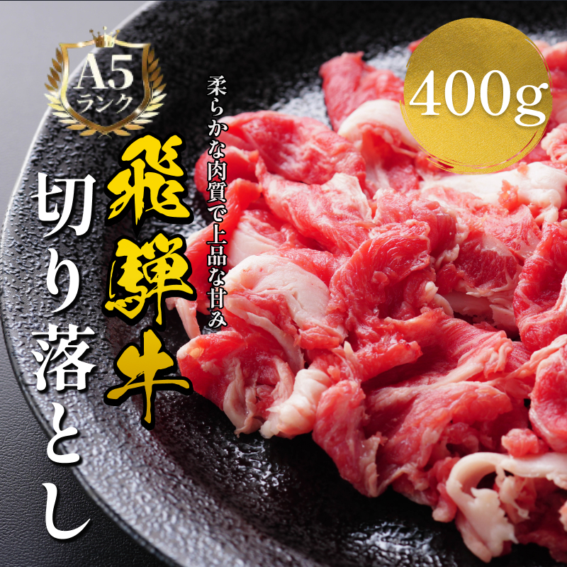 飛騨牛 牛肉 切り落とし 500g×2 計1kg 和牛