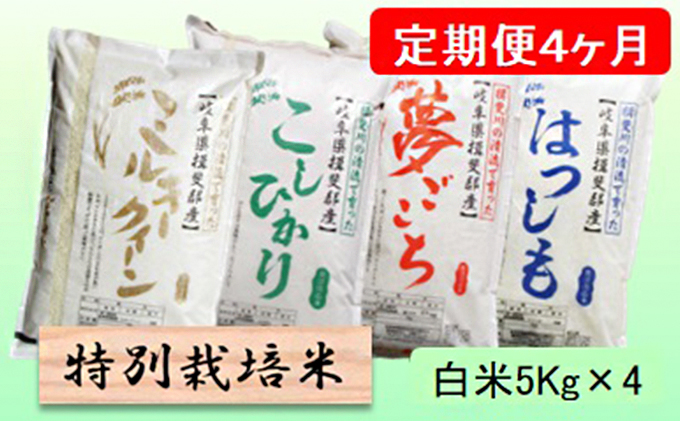 特別栽培米☆[定期便] 4カ月☆毎月 白米５kg 【ミルキークイーン・コシヒカリ・夢ごこち・ハツシモ】: 池田町ANAのふるさと納税