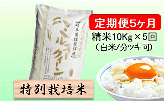 特別栽培米★[定期便] 5カ月★毎月 精米10kg(白米/7分/5分ツキ可)[ミルキークイーン] 玄米は別に出品