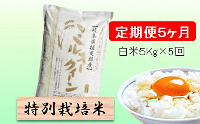 特別栽培米★[定期便] 5カ月★毎月 白米5kg [ミルキークイーン]