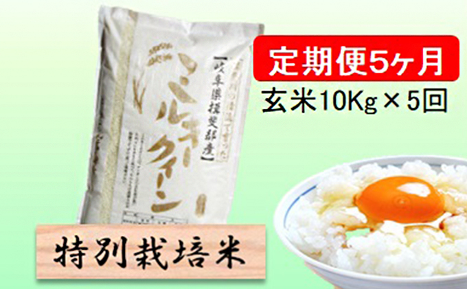 特別栽培米★[定期便] 5カ月★毎月 玄米10kg[ミルキークイーン]