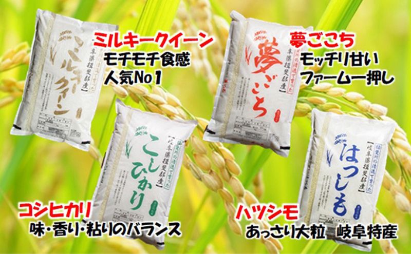 定期便4カ月【令和7年産】特別栽培米5kg【白米】(ミルキークイーン) 米 お米 白米 コメ ご飯 定期 岐阜県 池田町
