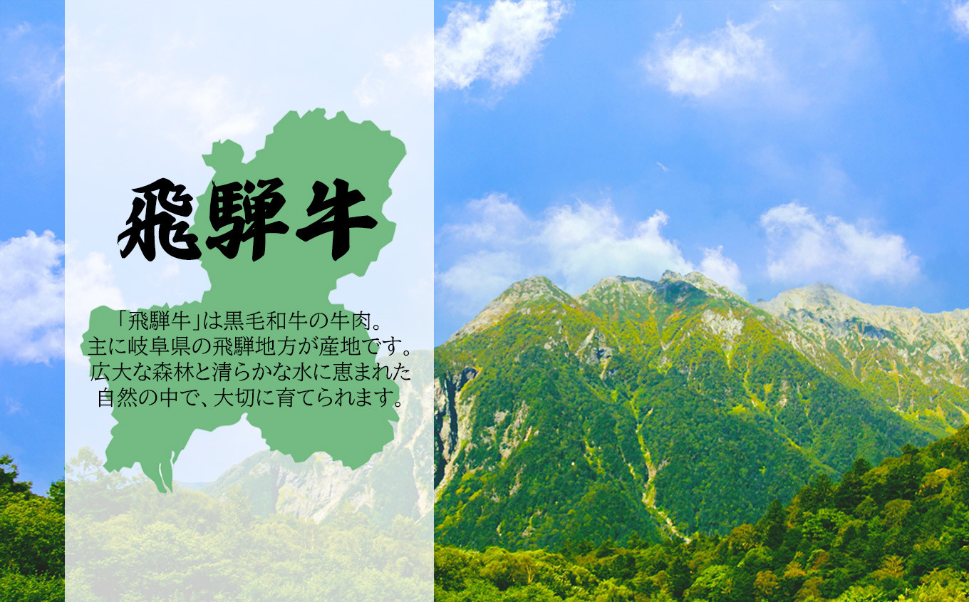 【４種食べ比べ！】飛騨牛厚切りステーキ４種