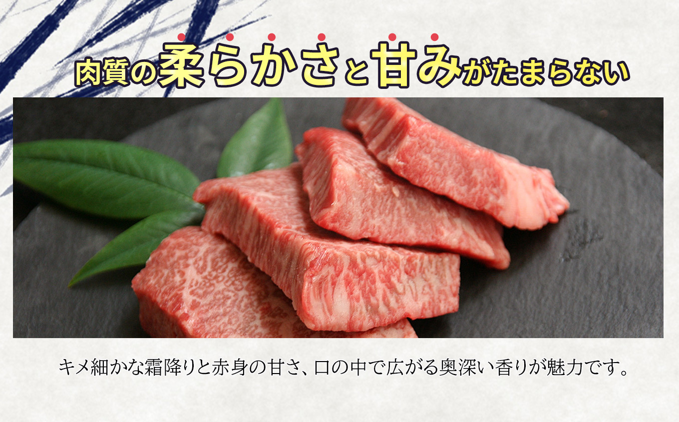 【４種食べ比べ！】飛騨牛厚切りステーキ４種