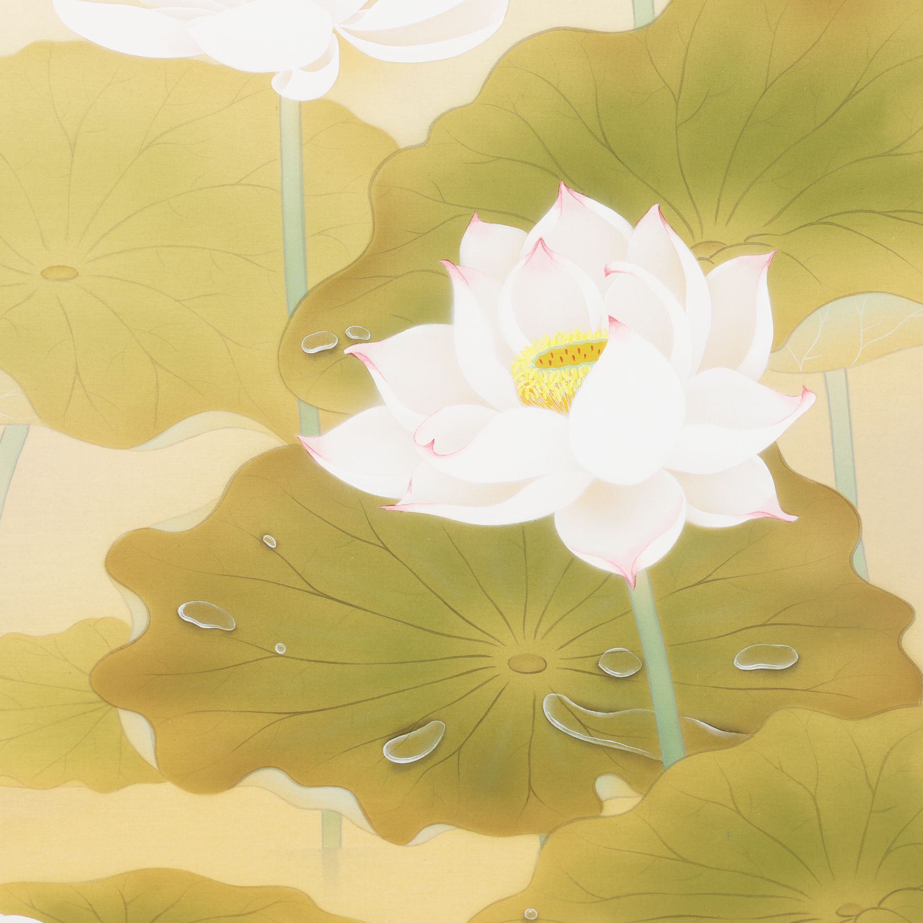 掛軸 「蓮心」 鈴木優莉 尺五立