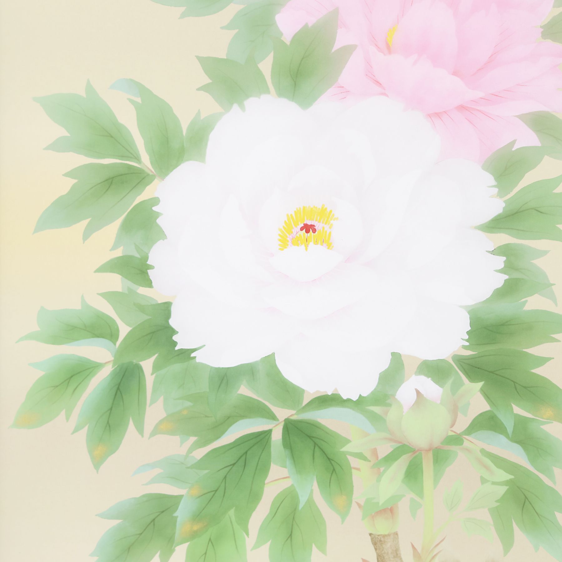 掛軸 「牡丹」 吉田豊青 尺五立