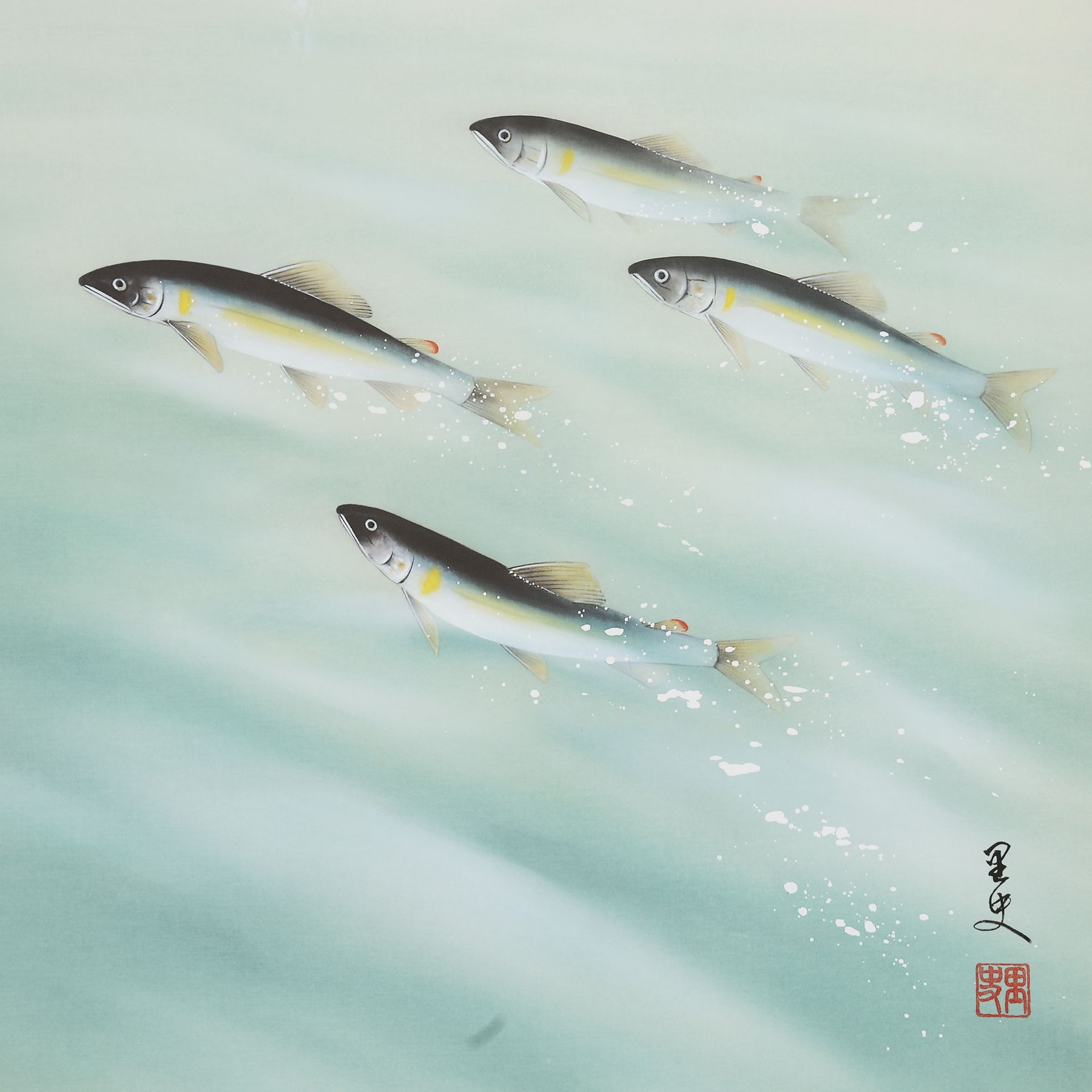 掛軸 「登り鮎」 荒川里史 尺五立