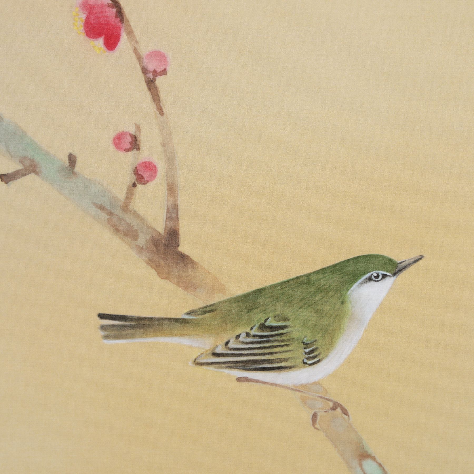 掛軸 「紅白梅に鴬」 石田大寿 尺五立