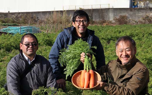 ＜先行予約＞坂祝町の野菜根菜セット 季節の野菜 新鮮野菜 詰め合わせ 人参 じゃがいも イモ 芋 さつまいも かぶ カブ F6M-288