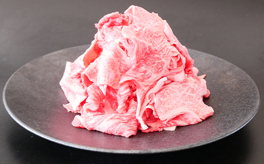 A4等級以上 飛騨牛 焼肉 切り落とし 250g × 2 計 500g 牛肉 ブランド牛 肉 切落し わけあり ぎゅうにく にく ひだぎゅう ひだうし 訳あり 商品 ワケアリ 不揃い 大容量 切り落とし きりおとし 小分け 冷凍 ネオプライムヒグチ 食品 訳有 焼肉セット 焼肉用 選べる 肉のひぐち F6M-330