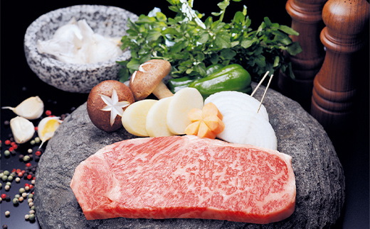 A4等級以上 飛騨牛サーロインステーキ用 680g ( 170g × 4枚 )　霜降り 牛肉 サーロイン 牛肉ステーキ 牛肉 肉 和牛 高級牛肉 4人前 国産牛 国産 牛 ブランド牛 ネオプライムヒグチ 肉のひぐち お中元 お歳暮 ギフト F6M-333