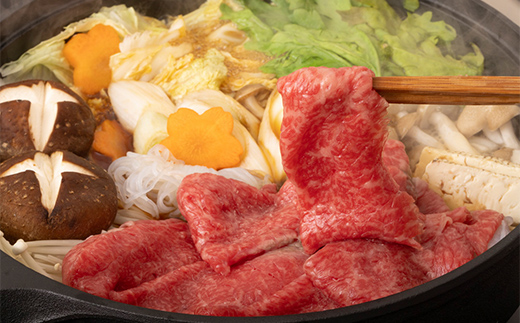 A4等級以上【飛騨牛】もも・かたスライス（600g 300g×2パック）和牛 すき焼き しゃぶしゃぶ 小分け 大容量 ブランド牛 ネオプライムヒグチ 肉のひぐち お中元 お歳暮 ギフト F6M-338