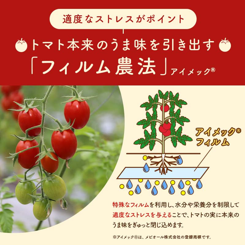 高糖度 プレミアムミニトマト スイートキューブ 1kg さかほぎ農場 F6M-129