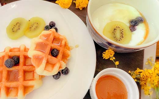 岐阜県産 日本ミツバチのハチミツ 250g 2本セット はちみつ ハチミツ 蜂蜜 日本ミツバチ 二ホンミツバチ 無添加 岐阜県 坂祝町 F6M-306