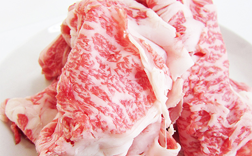 A4等級以上 飛騨牛 焼肉 切り落とし 250g 牛肉 ブランド牛 肉 切落し わけあり ぎゅうにく にく ひだぎゅう ひだうし 訳あり 商品 ワケアリ 不揃い 大容量 切り落とし きりおとし 小分け 冷凍 ネオプライムヒグチ 食品 訳有 焼肉セット 焼肉用 選べる 肉のひぐち F6M-331