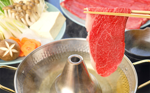 A4等級以上【飛騨牛】もも・かたスライス（1.2kg 300g×4パック）和牛 すき焼き しゃぶしゃぶ 小分け 大容量 ブランド牛 ネオプライムヒグチ 肉のひぐち お中元 お歳暮 ギフト F6M-336