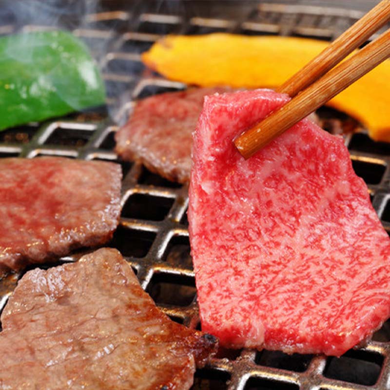 飛騨牛 バラ 700g 焼肉用 牛肉 黒毛和牛 5等級 肉 F6M-059