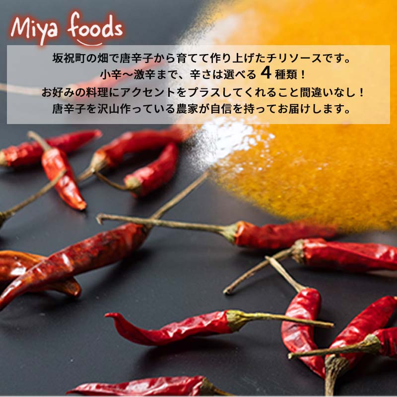 MY CHILI（マイ チリ） ハラペーニョ（中辛） 4本セット チリソース ホットソース 唐辛子 国産 無農薬 辛旨 加工食品 惣菜 レトルト 岐阜県 坂祝町 さかほぎ F6M-270