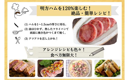 明方ハム Aセット ソーセージ ハム フランクフルト 詰め合わせ 計810g 国産 豚肉 F6M-017 Aセット