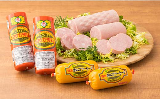 明方ハム Bセット ソーセージ ハム フランクフルト 詰め合わせ 計1320g 国産 豚肉 F6M-018 Bセット