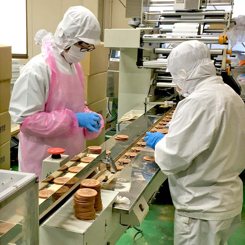 【若林煎餅】やわらか生煎餅 箱菓子 8個入×4箱セット せんべい お菓子 F6M-072 4箱セット