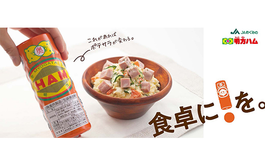 明方ハム（350g）×3本 国産 豚肉 F6M-090 明方ハム（350g）×3本