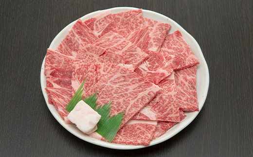 飛騨牛 焼肉用 ロース又はカタロース 600g 牛肉 ブランド牛 国産 BBQ F6M-313