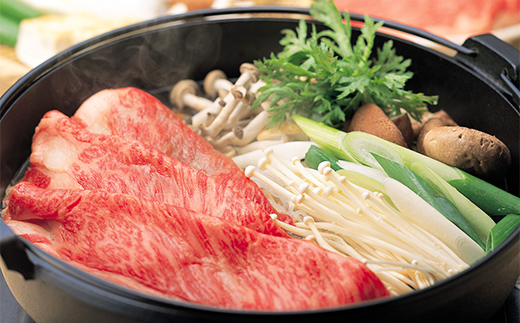 「A4等級以上 飛騨牛 肩ロース」 500g 250g×2パック 和牛 ブランド牛 飛騨牛 小分け 大容量 冷凍でお届け しゃぶしゃぶ すき焼き カタロース スライス 肉のひぐち F6M-326