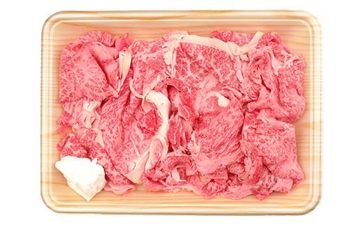 A4等級以上 飛騨牛 焼肉 切り落とし 250g × 3 計 750g 牛肉 ブランド牛 肉 切落し わけあり ぎゅうにく にく ひだぎゅう ひだうし 訳あり 商品 ワケアリ 不揃い 大容量 切り落とし きりおとし 小分け 冷凍 ネオプライムヒグチ 食品 訳有 焼肉セット 焼肉用 選べる 肉のひぐち F6M-329