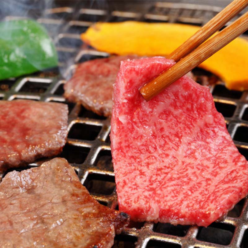 【定期便】飛騨牛 全12回 合計14.7kg スペシャルセット ステーキ 焼肉 しゃぶしゃぶ すき焼き 牛肉 黒毛和牛 5等級 肉 F6M-063 全12回 合計14.7kg