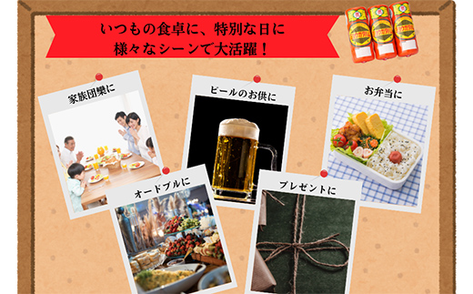 明方ハム Aセット ソーセージ ハム フランクフルト 詰め合わせ 計810g 国産 豚肉 F6M-017 Aセット