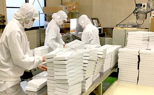 【若林煎餅】やわらか生煎餅 箱菓子 8個入×2箱セット せんべい お菓子 おせんべい 煎餅 お茶菓子 お茶請け おやつ 菓子 食品 岐阜県 坂祝町 F6M-119 2箱セット