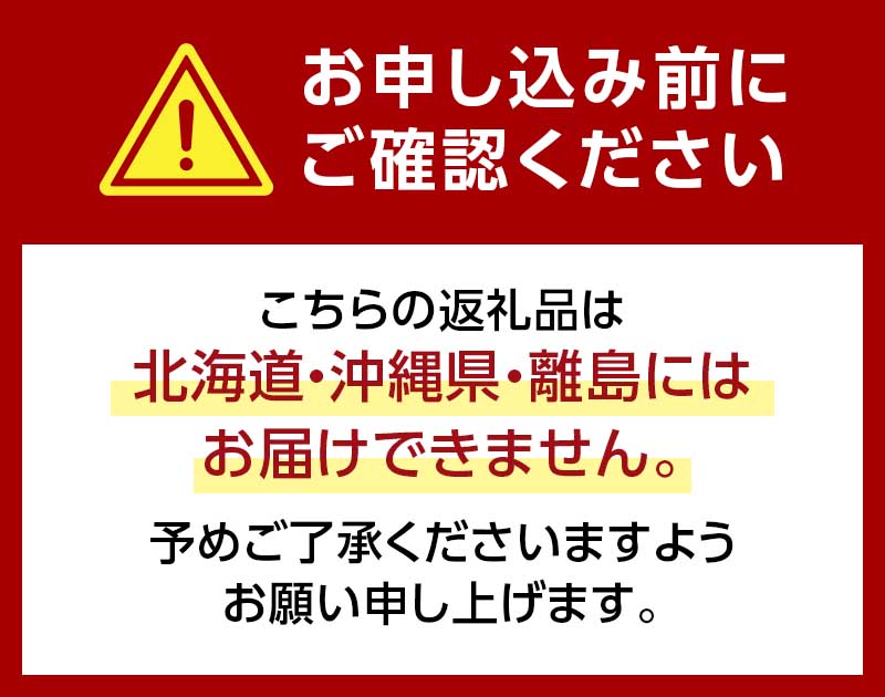 【2025年 先行予約】高糖度 プレミアムミニトマト スイートキューブ エグゼクティブ 300g ≪2025年2月下旬頃〜3月下旬頃発送予定≫ さかほぎ農場 F6M-130