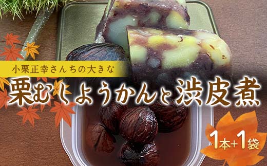 さかほぎ 小栗正幸さんちの大きな栗むし羊羹と普通の渋皮煮 栗 栗むし羊羹 羊羹 ようかん 栗ようかん 渋皮煮 スイーツ 和菓子 秋 F6M-141