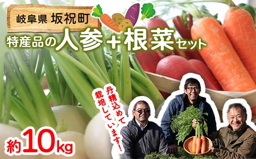 ＜先行予約＞坂祝町の野菜根菜セット 季節の野菜 新鮮野菜 詰め合わせ 人参 じゃがいも イモ 芋 さつまいも かぶ カブ F6M-288