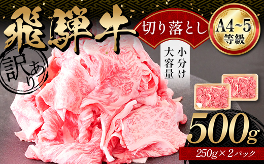 A4等級以上 飛騨牛 焼肉 切り落とし 250g × 2 計 500g 牛肉 ブランド牛 肉 切落し わけあり ぎゅうにく にく ひだぎゅう ひだうし 訳あり 商品 ワケアリ 不揃い 大容量 切り落とし きりおとし 小分け 冷凍 ネオプライムヒグチ 食品 訳有 焼肉セット 焼肉用 選べる 肉のひぐち F6M-330