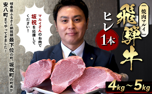 飛騨牛 ヒレ1本(約4～5kg)＜シャトーブリアン&ヒレ＞A4～A5等級 黒毛和牛 ステーキ 牛肉 F6M-343