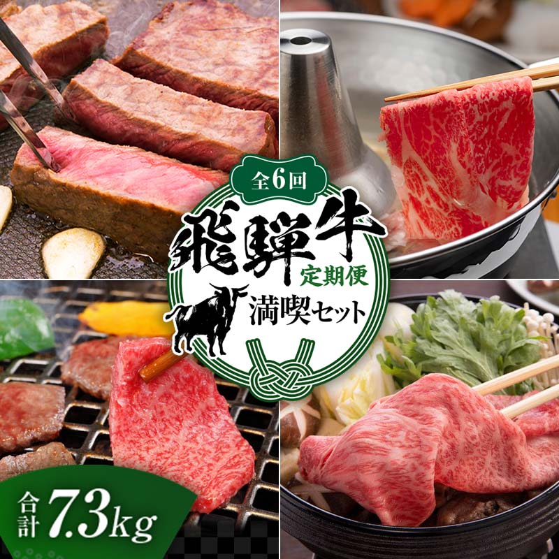 【定期便】飛騨牛 全6回 合計7.3kg 満喫セット ステーキ 焼肉 しゃぶしゃぶ すき焼き 牛肉 黒毛和牛 5等級 肉 F6M-062 全6回 合計7.3kg