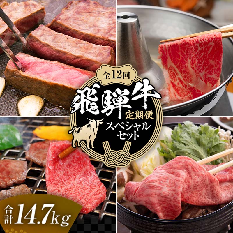 【定期便】飛騨牛 全12回 合計14.7kg スペシャルセット ステーキ 焼肉 しゃぶしゃぶ すき焼き 牛肉 黒毛和牛 5等級 肉 F6M-063 全12回 合計14.7kg