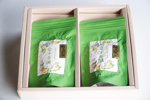 岩平茶園 特上煎茶 100g入り 2パック 計200g