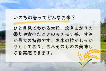 【令和6年産】農薬・化学肥料不使用　オータニ農業の『いのちの壱』精米10kg