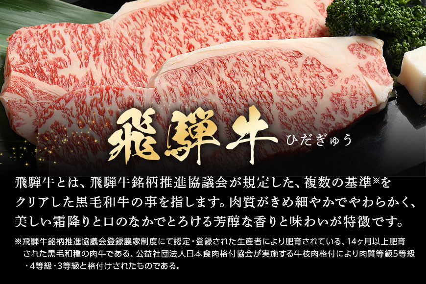 【冷蔵配送】飛騨牛食べ比べセット 豪華14品目