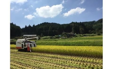 農家直送「山ちゃんのお米」コシヒカリ5kg