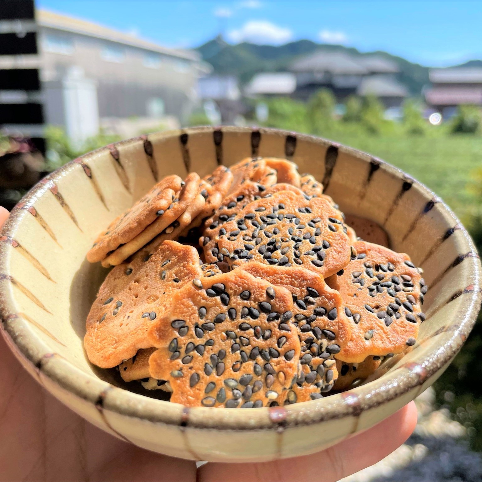 【お得な大容量！】黒胡麻せんべい 100g入り×20袋 (合計2kg) 八百津 煎餅 やおつ せんべい ごま ゴマ お菓子 おやつ 懐かしの味