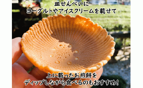 お皿まで食べられる！八百津せんべい「皿せんべい」詰合せ 10種セット 煎餅 おやつ お菓子