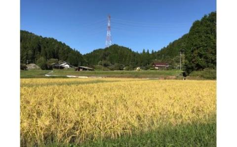 【令和6年産新米】八百津で採れた新米コシヒカリ5㎏＆もち米3kgセット