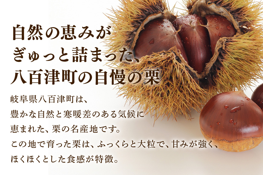 栗ぃむ大福 10個入り